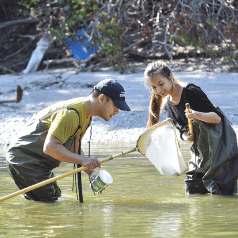 Two people in waders holding nets in the water, conducting a scientific study or fishing expedition