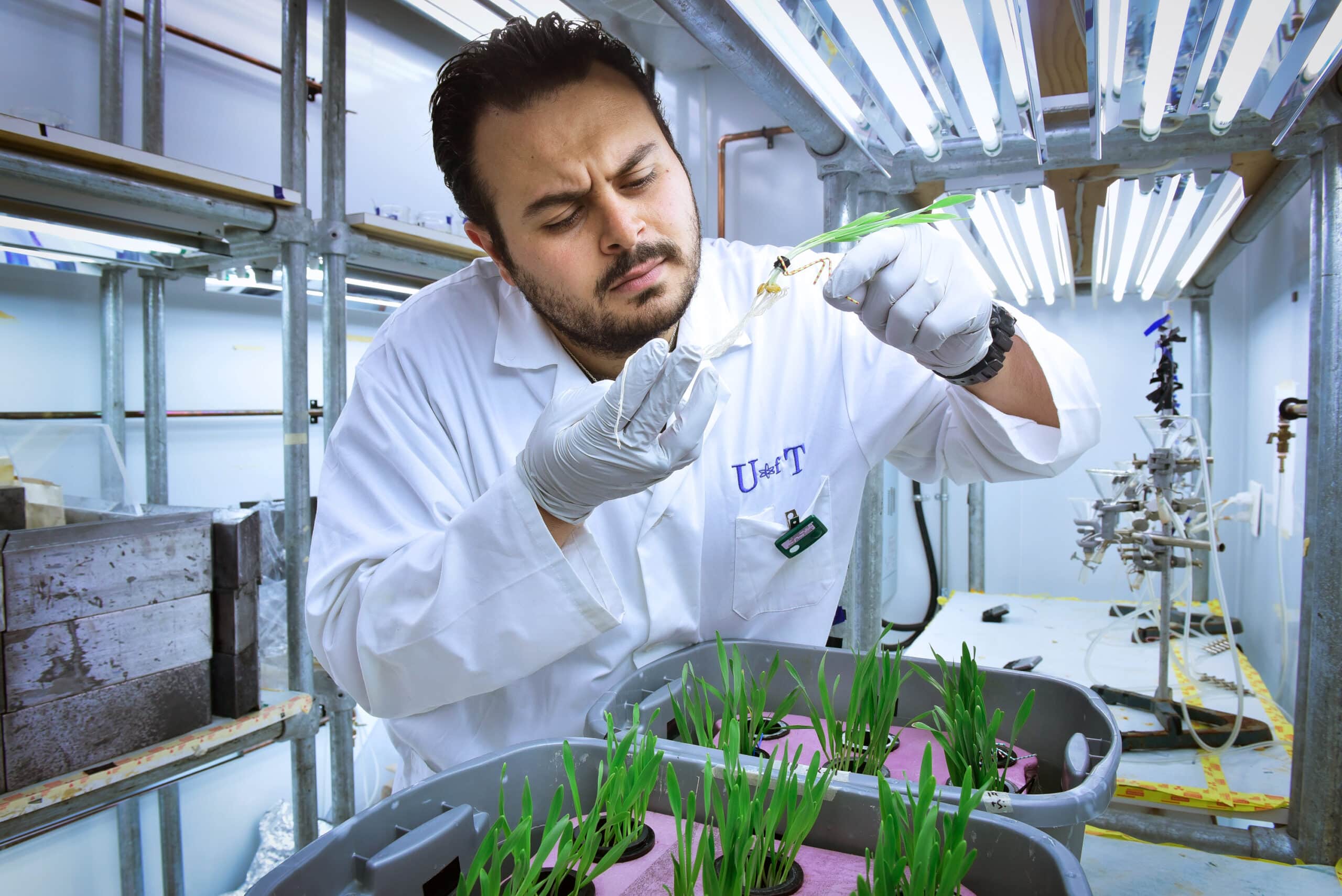 A scientist in a lab coat carefully tending to plants in a laboratory setting