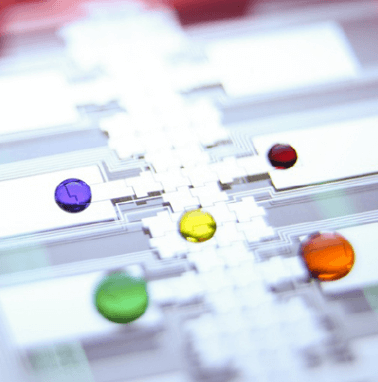 A close-up image of an electronic component with five coloured dots